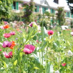 My visit to Giverny Part 1: Monet’s Garden
